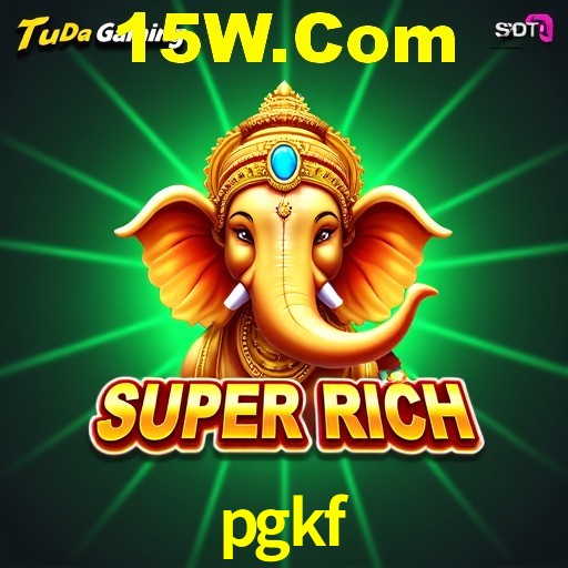 Interface Premium pgkf