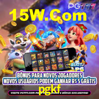 Premium Interface pgkf